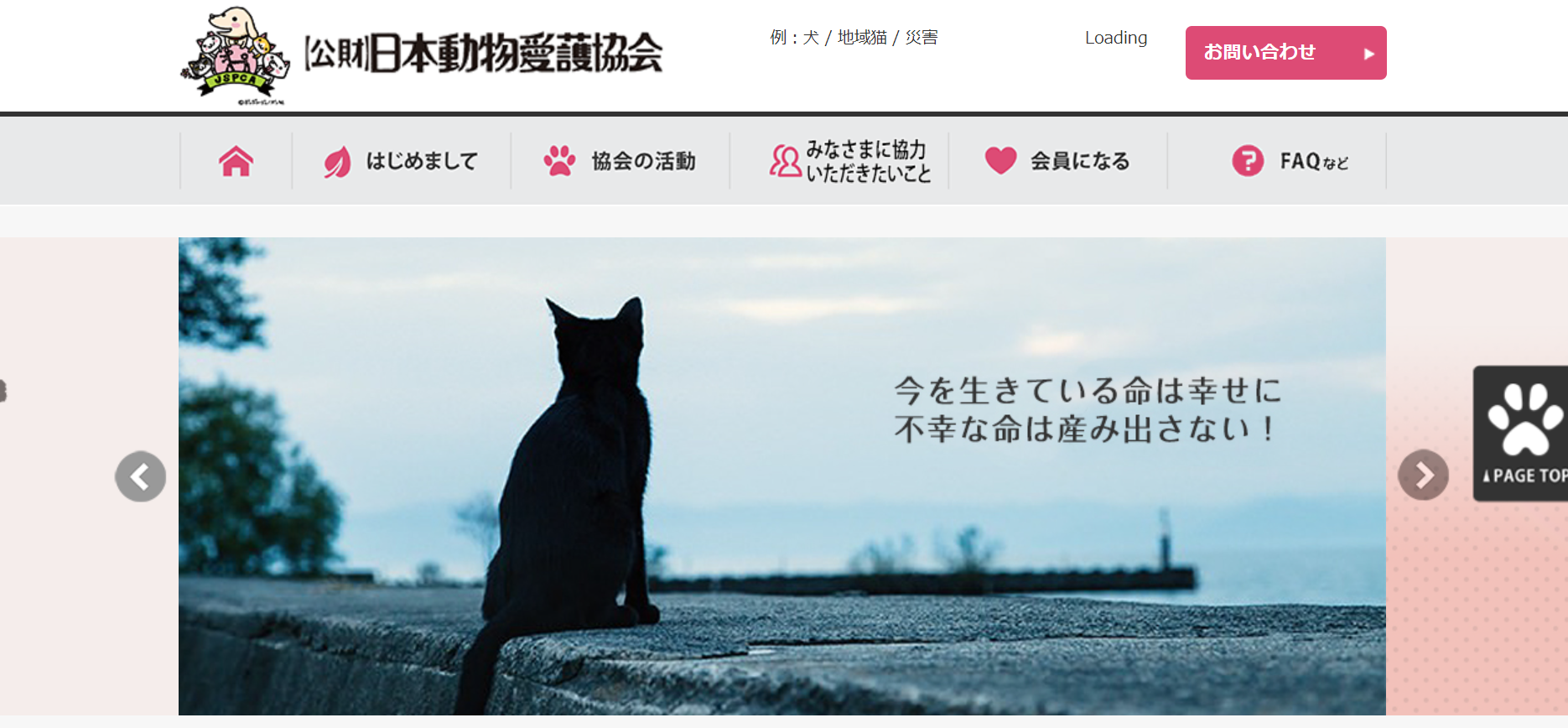 日本動物愛護協会 寄付